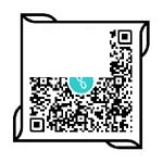 511电影网公众号